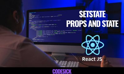 ReactJS State | SetState, Props and State Explained for beginners