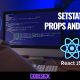 ReactJS State | SetState, Props and State Explained for beginners