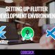 Setting Up Flutter Development Environment