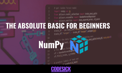 NumPy | The Absolute Basic for Beginners